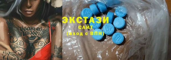 прущие грибы Новозыбков