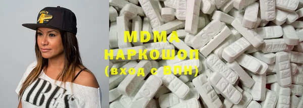 прущие грибы Новозыбков