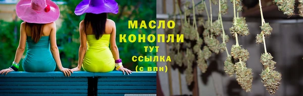 прущие грибы Новозыбков