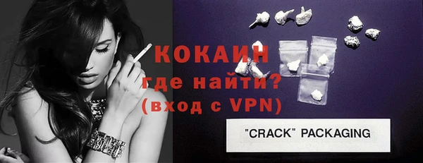 прущие грибы Новозыбков