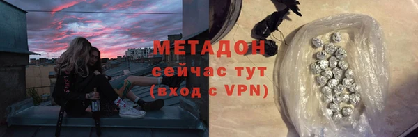 прущие грибы Новозыбков