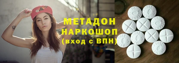 прущие грибы Новозыбков