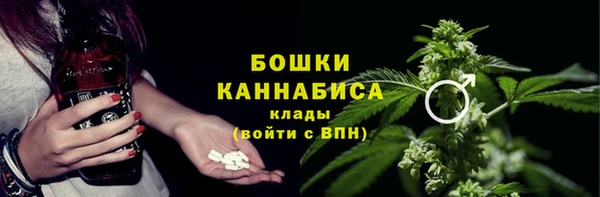 прущие грибы Новозыбков