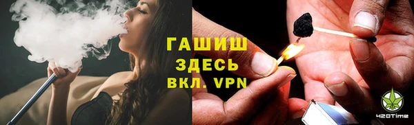 прущие грибы Новозыбков