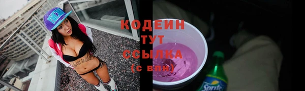 прущие грибы Новозыбков