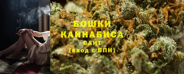 прущие грибы Новозыбков