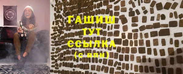 прущие грибы Новозыбков