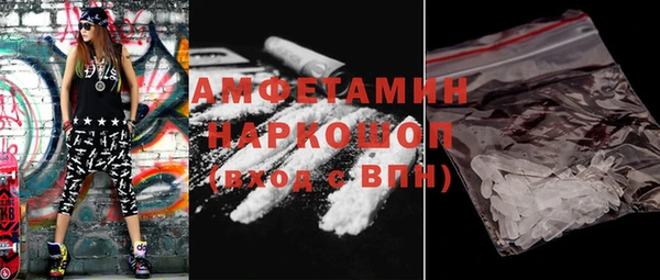 прущие грибы Новозыбков