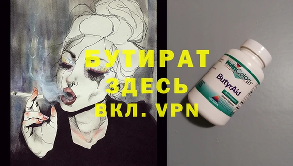 прущие грибы Новозыбков