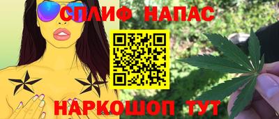 a pvp Славгород