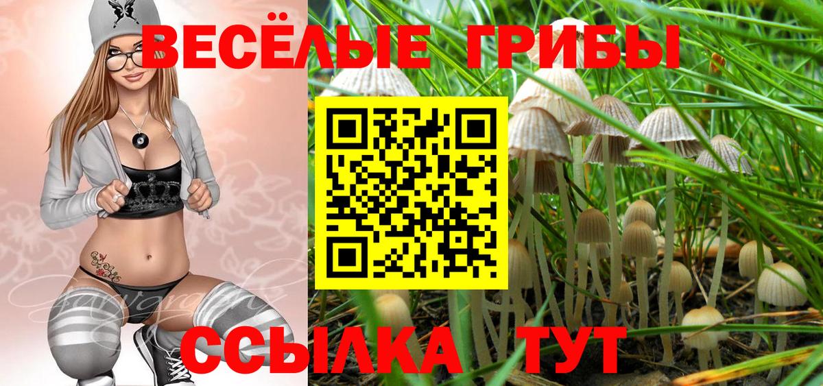 Галлюциногенные грибы Magic Shrooms  Вход с VPN  Усть-Кут 
