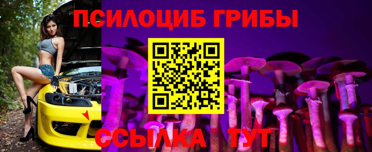 Галлюциногенные грибы прущие грибы Усть-Кут